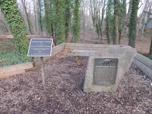 <p><p>Without the plaques at the end of a dead end street off of Grove Street in Haddonfield, the marl pit where the Hadrosaurus skeleton was excavated would look just like any other woodsy area.</p></p>

