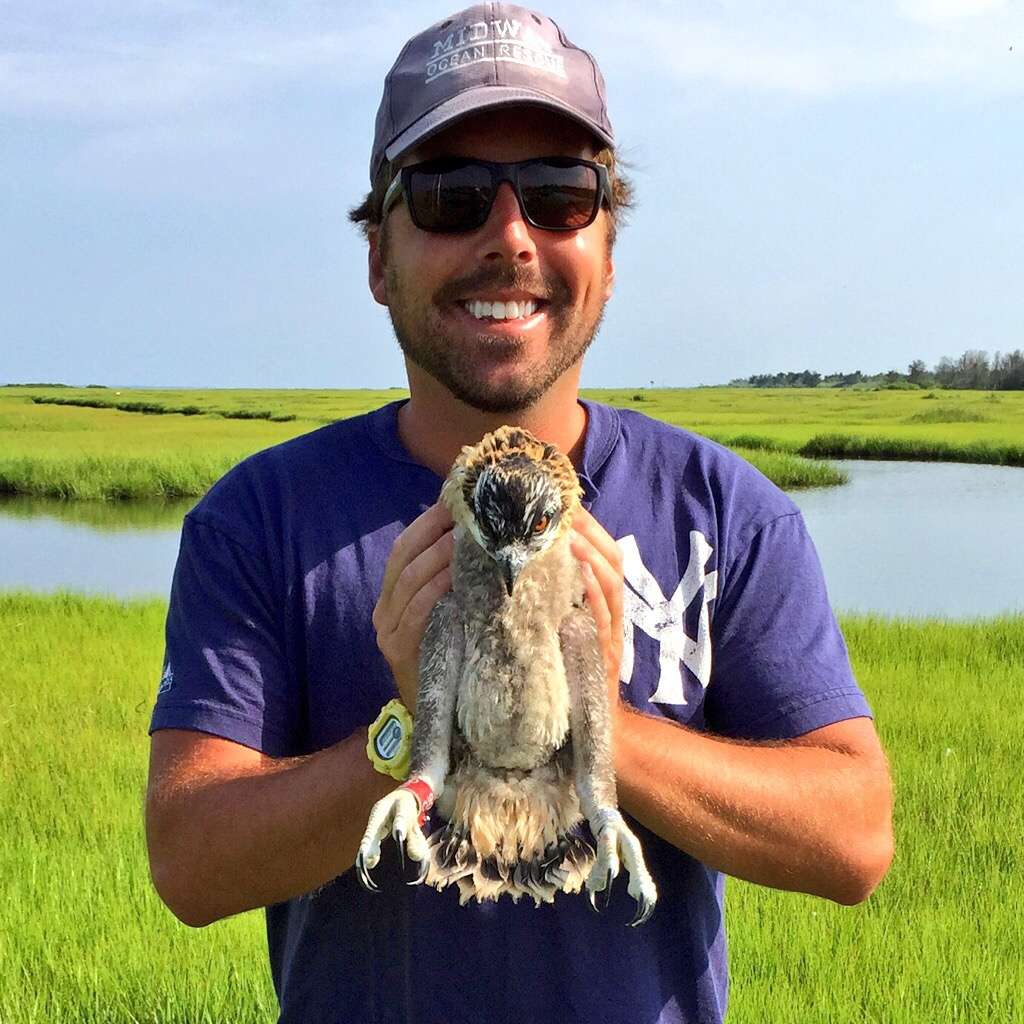 Author Justin Auciello holds an osprey chick. (Photo: Ben Wurst/CWF)