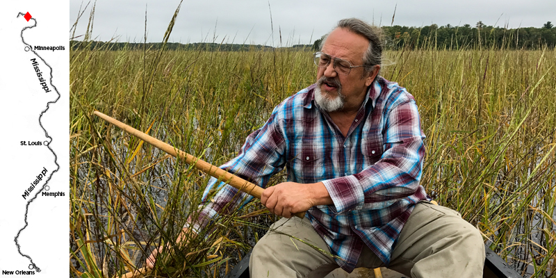 Jeff Savage, a member of the Ojibwe tribe, harvesting wild rice. (Laurie Stern/for WHYY)