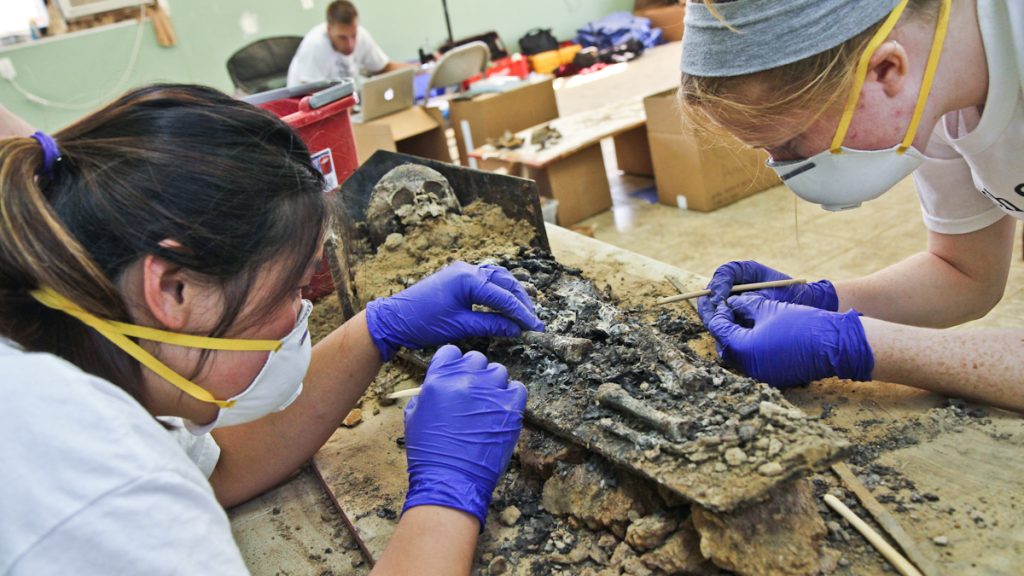 Archaeology students work to remove bones from the coffin of a juvenile found at the Arch St. development. (Kimberly Paynter/WHYY) 