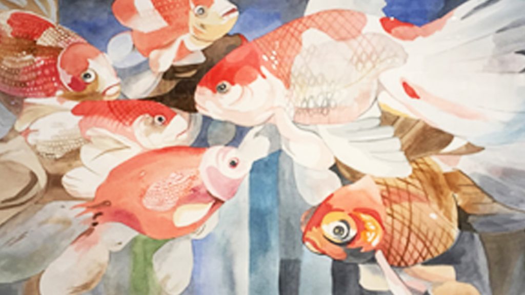 fish16x9