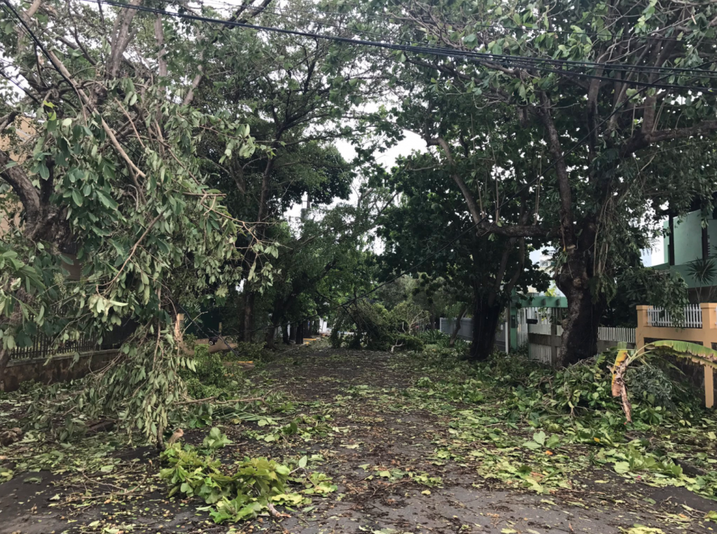 screen-shot-2017-09-07-at-3-38-07-pm Leaves and tree branches litter a street in Ocean Park, San Juan, Puerto Rico Thursday morning following Hurricane Irma. (Photo: Justin Auciello for WHYY)
