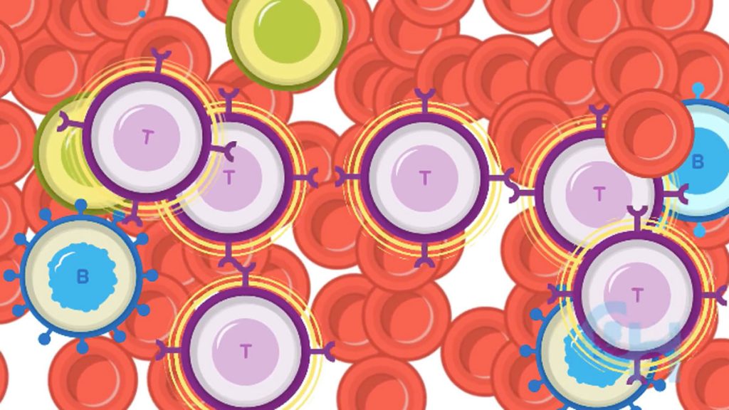 t-cell-therapy