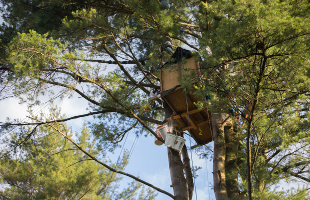 camp_white_pine_03-620×399 (1) Opponents of the Mariner East 2 pipeline, like those engaged in nonviolent civil disobedience at this site in Huntingdon County, say a blog post is falsely linking them to the alleged sabotage of construction vehicles. So far, no one has presented any evidence the sabotage actually took place.