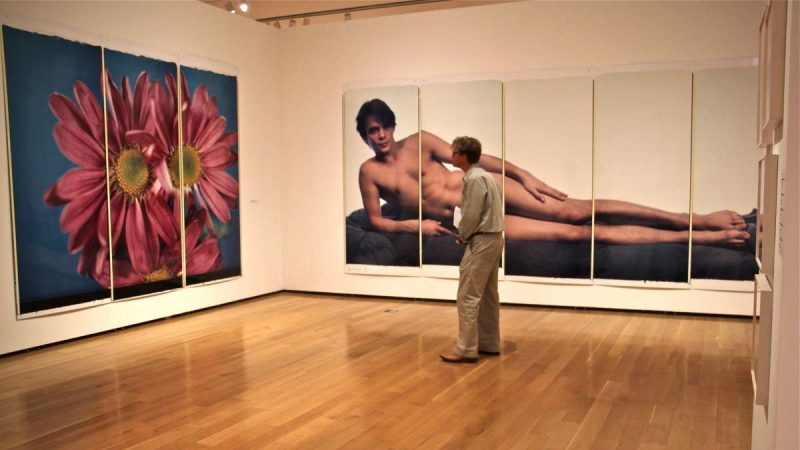 The Polaroid triptych ''Chrysanthemum'' is juxtaposed with the five panel ''Bertrand II.''