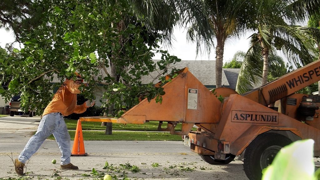 l_ap_02092504364 Prosecutors say the Asplundh company 'remained willfully blind' while managers hired workers they knew to be in the country illegally. The company, based in Willow Grove, Pennsylvania, has been fined $95 million. (AP file photo)