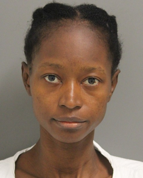 Kula Pelima Kula Pelima admitted to killing two children inside a Wilmington home on Monday, police said. (photo courtesy Wilmington Police)