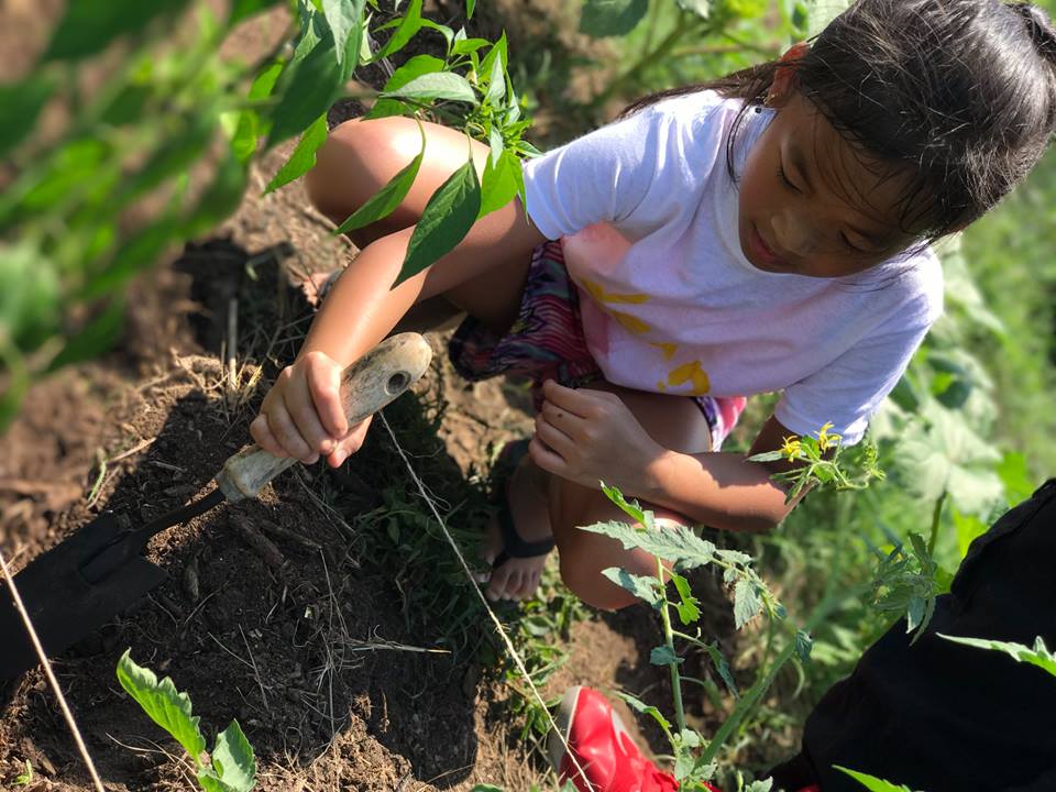 A young girl works in a community garden.