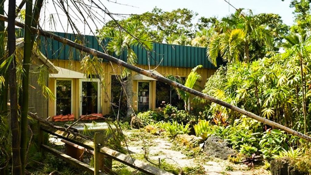 zoo The entrance of the Naples Zoo shortly after Irma hit. (Courtesy of Courtney Jolly)