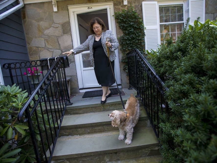After two weeks of recovery from an addiction to opioids prescribed by her surgeon, Katie Herzog takes a walk with her dog, Pippen. After two weeks of recovery from an addiction to opioids prescribed by her surgeon, Katie Herzog takes a walk with her dog, Pippen. (Jesse Costa/WBUR)