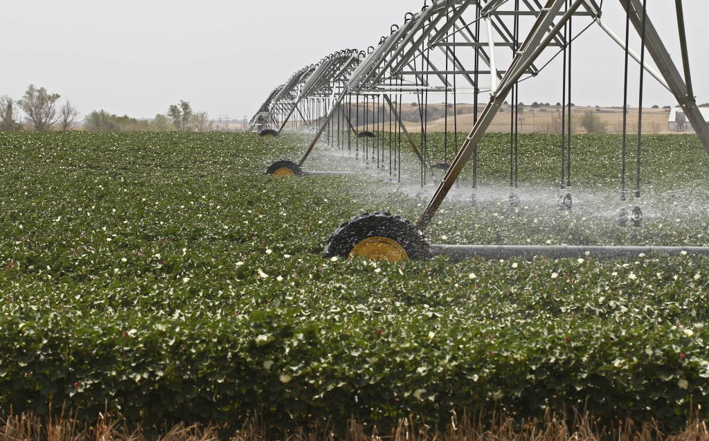 Spray irrigation (Sue Ogrocki/AP Photo)