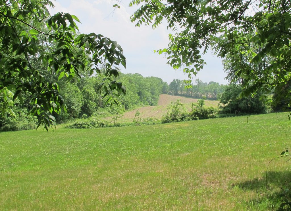 Part of the proposed PennEast pipeline could run through this stretch of land in Bucks County, Pa.