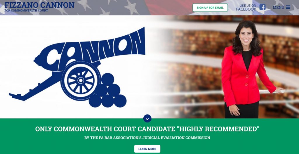 Screen shot 2017-11-07 at 4.54.14 PM (image via https://fizzanocannonforjudge.com/)