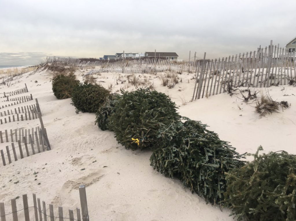 midway dunes