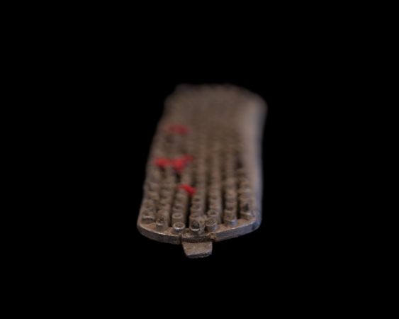 Brush (Photo by Wendel White)
