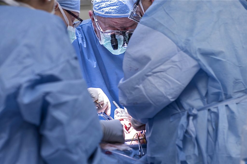 uterine transplant Doctors transplant a uterus