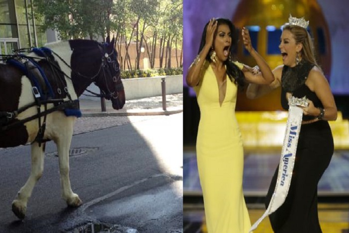 20130915-miss-america-1110-1200-1-768×432 Miss New York Nina Davuluri, reacts after being named Miss America 2014 pageant as Miss America 2013 Mallory Hagan celebrate with her. (AP Photo/Mel Evans)