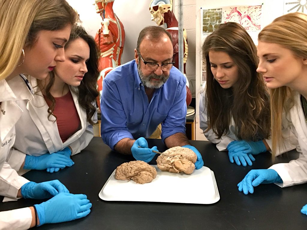 2017 12 10-provided-millersville university-anatomy class cadaver Biology professor James Cosentino (center) examines a brain at Millersville University with students (from left) Katy Good, Lexi Colgan, Clara Forney, and Jessica Hanner.