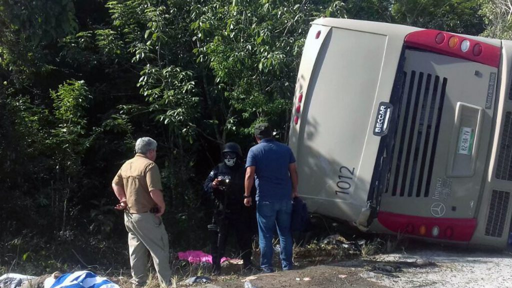 Police and paramedics at the scene of a tourist bus crash in eastern Mexico Tuesday. Most of the passengers on board were had arrived aboard cruise ships and were going to view Mayan ruins. Police and paramedics at the scene of a tourist bus crash in eastern Mexico Tuesday. Most of the passengers on board were had arrived aboard cruise ships and were going to view Mayan ruins.