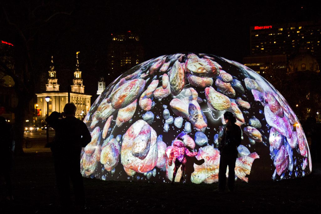 winter domes