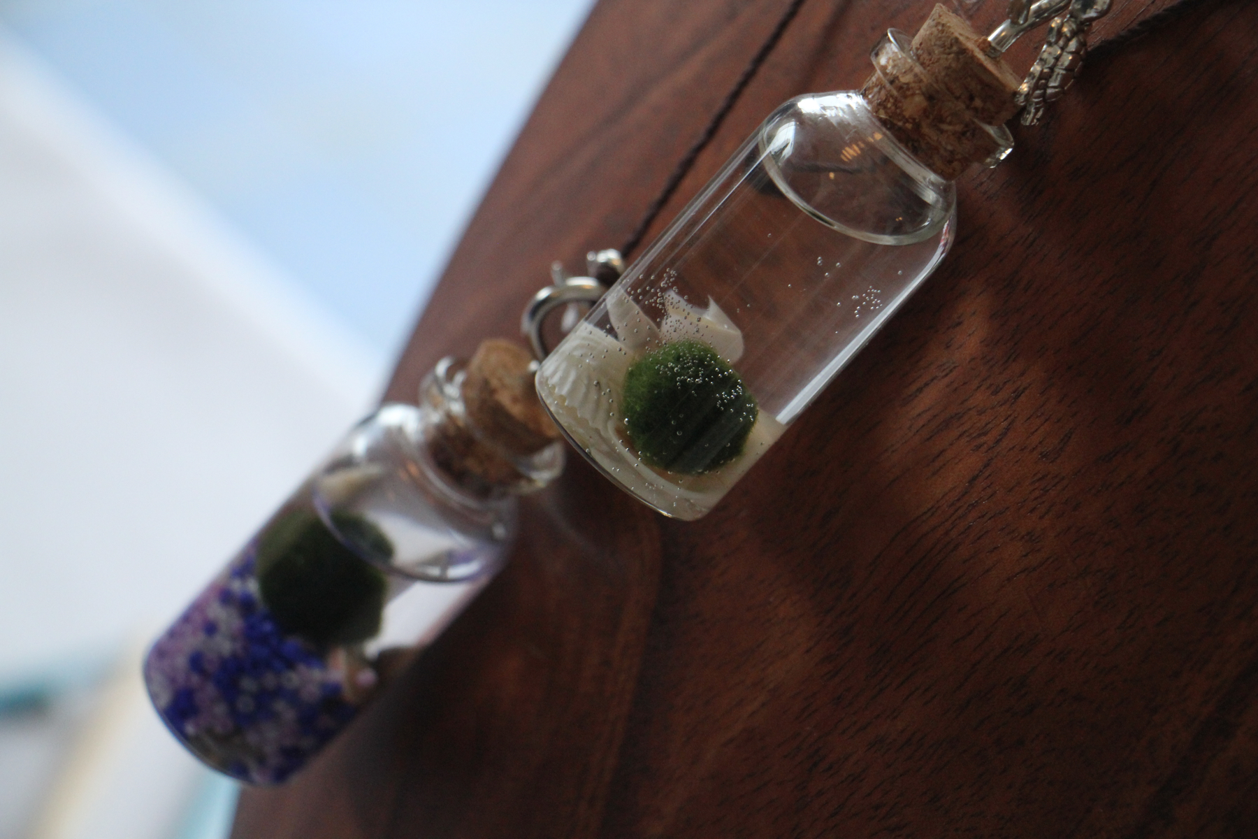 Visitors to the flower show this year will be able to make a pendant from a tiny living watergarden.