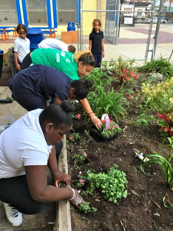 Students plant flowers in the McClure School courtyard.