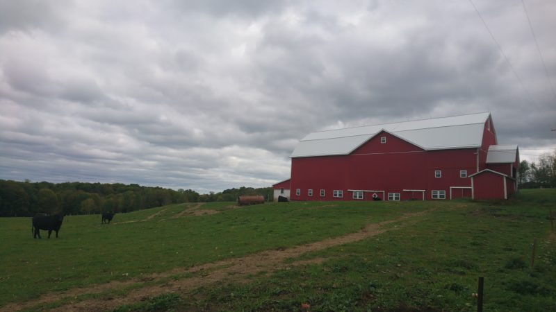 A barn on the outskirts of the Titusville School district (Kevin McCorry/Keystone Crossroads)