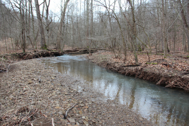 Polen-620×413 Polen Run in Ryerson Station State Park, Greene County. Photo: Reid R. Frazier