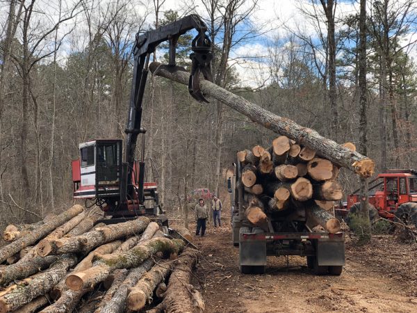 Gene Fisk, Sr. (left) and Jason Green look on as timber is stacked on to a truck in Pioneer Forest outside Eminence, Missouri on Dec. 14, 2017.