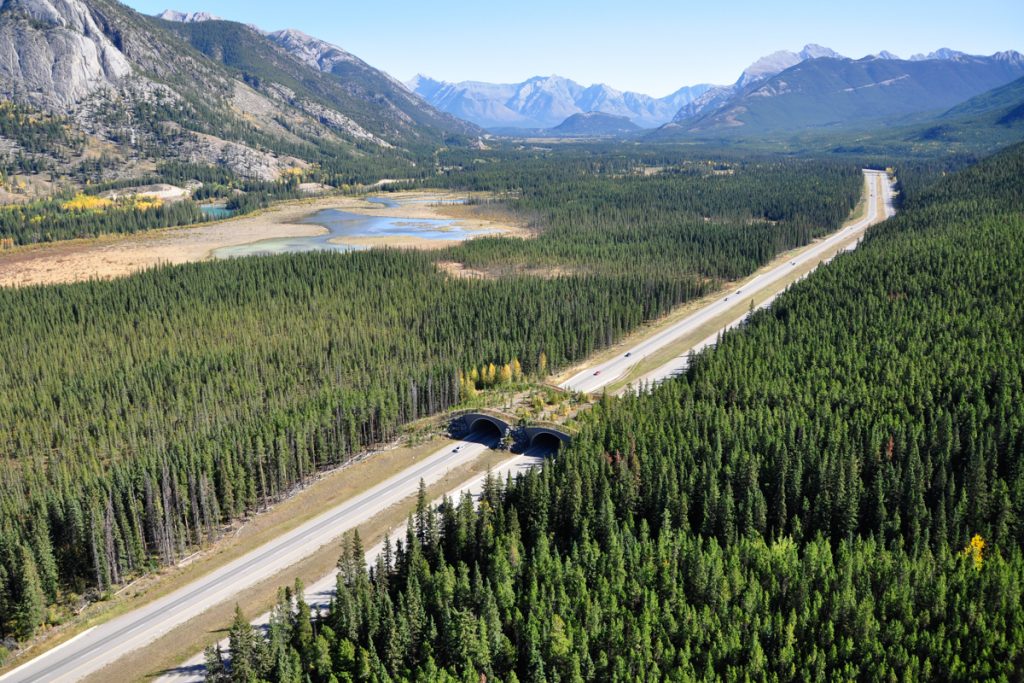 banff (Courtesy of Adam Ford)