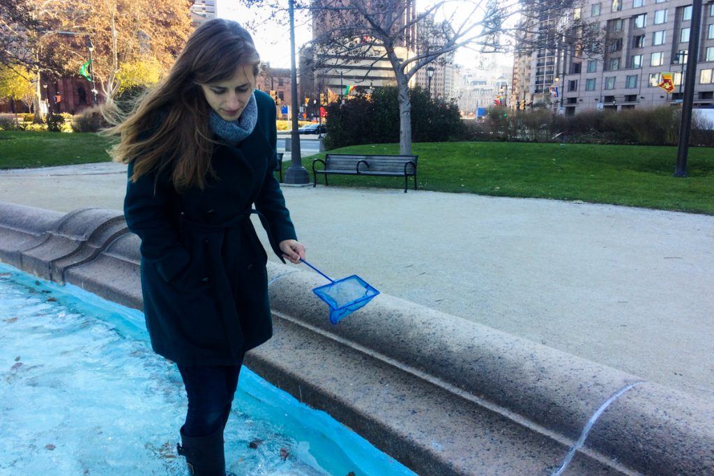 city Isa Betancourt, an entomologist at Drexel University’s Academy of Natural Sciences, collects bugs. (Alan Yu/WHYY)