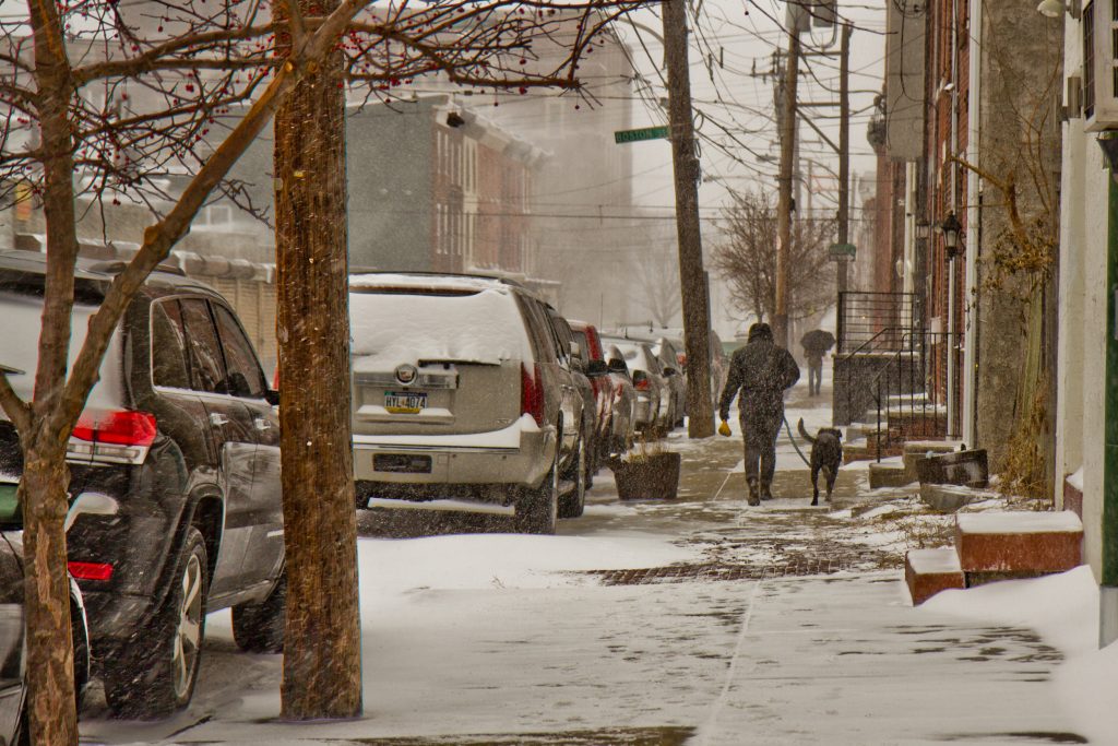 snow jan 4 2018 A black lab gets a walk through the snow on Thursday morning in Philadelphia. (Kimberly Paynter/WHYY)