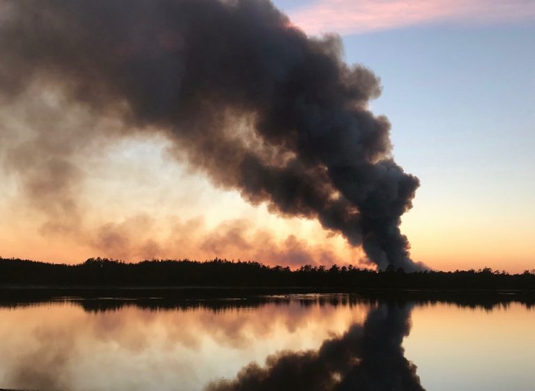 74545b98-9776-4a83-a9f7-4ded39c60efd-768×561 A smoke column from a forest fire in Manchester in February 2017. Smoke from yesterday's forest fire in Manchester. (Image: JSHN contributor Mike Logger)