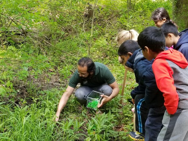 Carlos Martínez Rivera is an amphibian conservation biologist at the Philadelphia Zoo. (Provided)