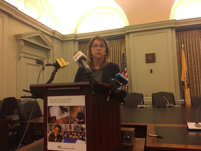Ruth Ann Norton, president of the Green and Healthy Homes Initiative, says more prevention efforts are needed so children don’t suffer learning disabilities and organ damage from lead poisoning. She spoke Wednesday at the State House in Trenton. (Phil Gregory/WHYY)