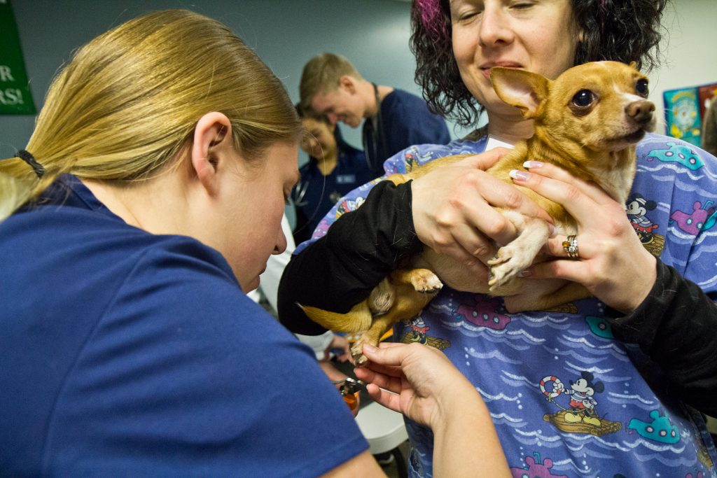 R.J., 10, gets his nails clipped at the Delaware Humane Association’s free clinic at the Henrietta Johnson Medical Center in Wilmington. (Kimberly Paynter/WHYY)