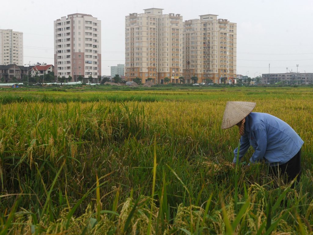 Vietnam is the only country that comes even close to delivering the good life in a sustainable way. Above: rice fields on the outskirts of Hanoi. Vietnam is the only country that comes even close to delivering the good life in a sustainable way. Above: rice fields on the outskirts of Hanoi.
(Hoang Dinh Nam /AFP/Getty Images)