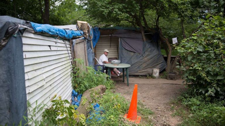 Dave Ritchie, a plumber by trade, lives in a self-made shack in the Pennsylvania woods. (Lindsay Lazarski/WHYY) 