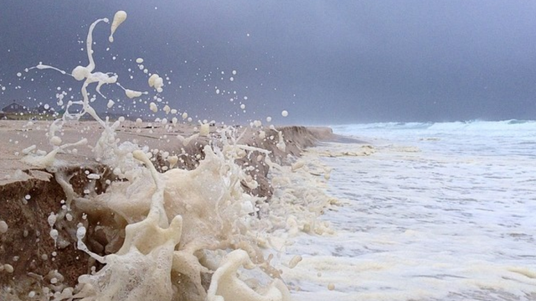 l_l_l_screenshot-2014-09-24-15-29-37-768×432 South Seaside Park