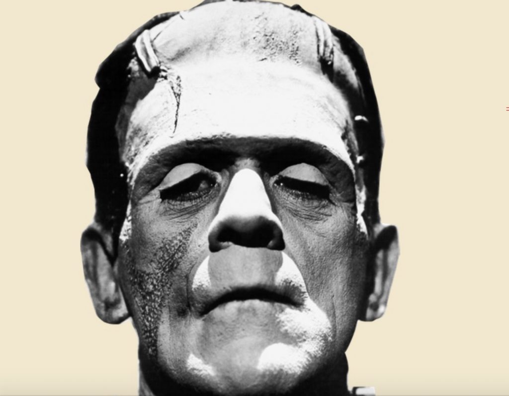Frankenstein poster Third annual Bioethics Film Festival (photo provided)