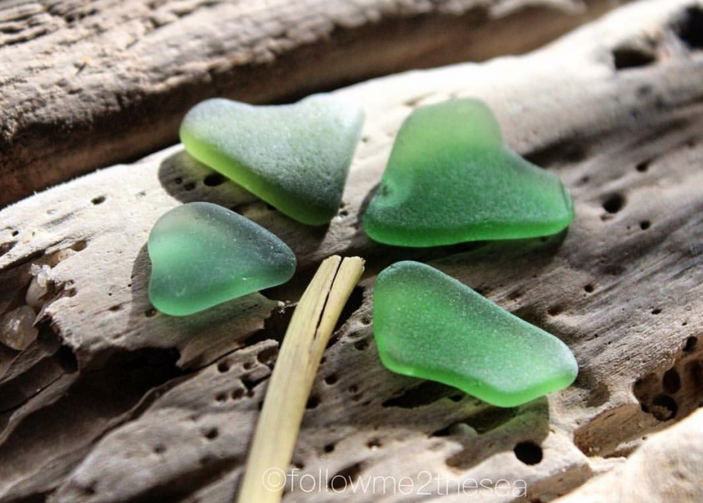 In celebration of St. Patrick's Day, @followme2thesea/Instagram made a sea glass shamrock. 