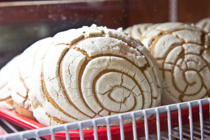 Concha at Panaderia Mexicana El Trebol. (Kimberly Paynter/WHYY)