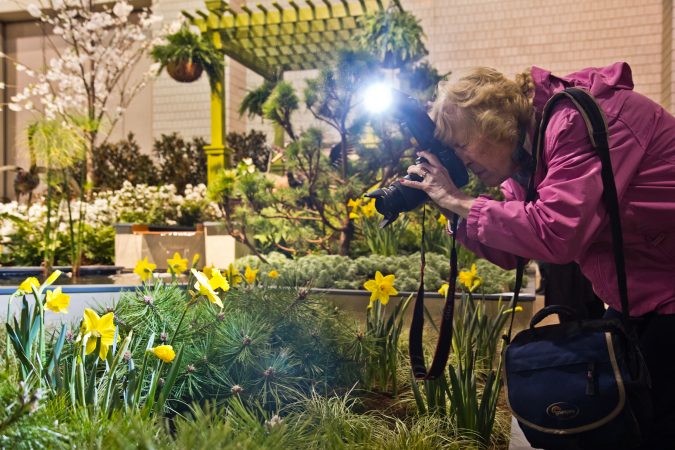 Irwin Landscaping from Hockessin, Del., created Verdant Delight. (Kimberly Paynter/WHYY)