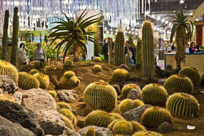 Stoney Bank Nurseries from Glen Mills in Pa., created Without Water. (Kimberly Paynter/WHYY)
