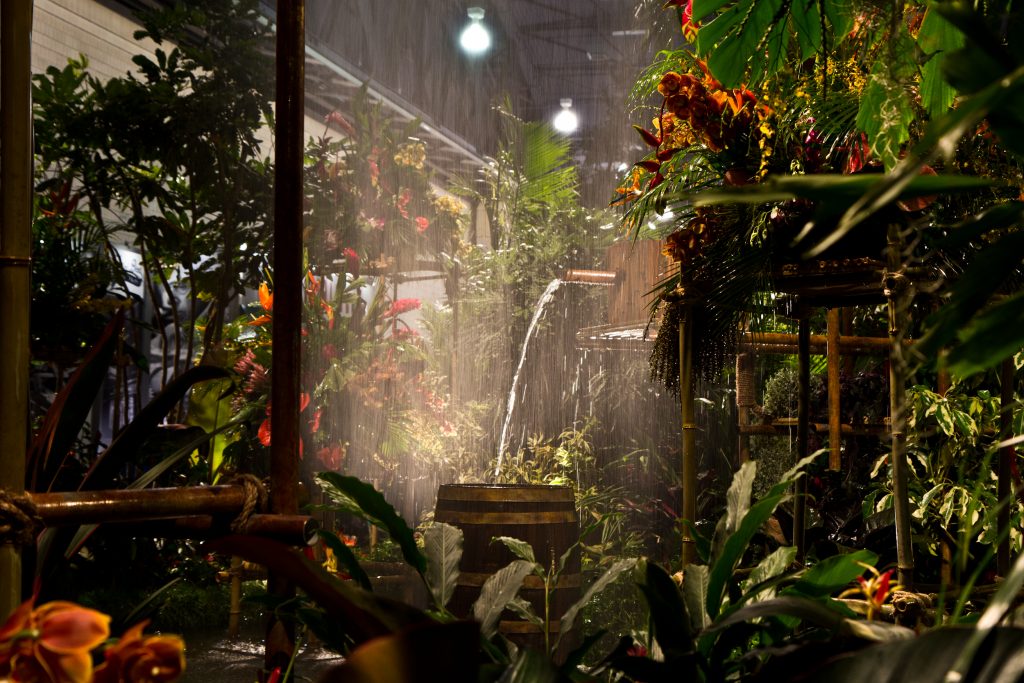 flower show 18-4 The 2018 Philadelphia Flower Show theme Wonders of Water inspired the main exhibit rainforest theme. (Kimberly Paynter/WHYY)