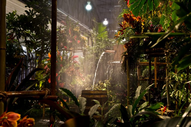 flower-show-18-4-1-768×512