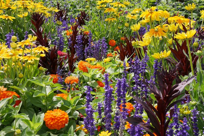 flowers-th