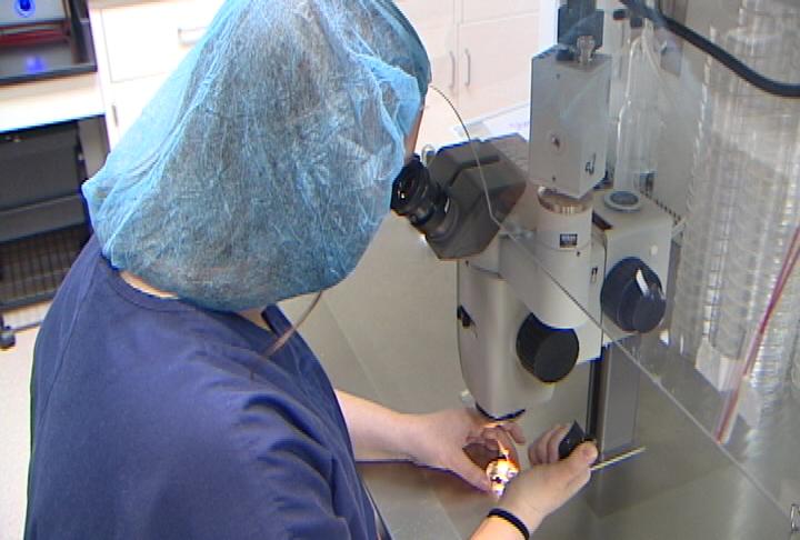 Fertility Care (Paul Parmelee/WHYY)