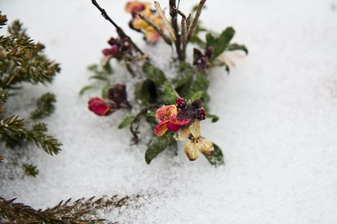 Wednesday morning brought only sleet to Philadelphia. (Kimberly Paynter/WHYY)