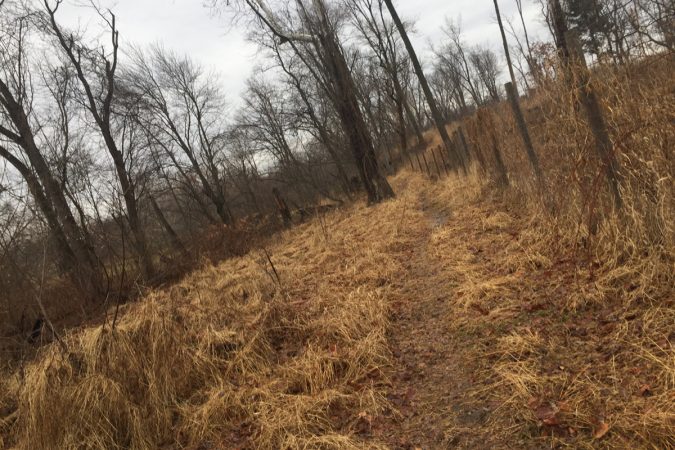Sometimes the path around Philadelphia is muddy and rough. (Image courtesy of J.J. Tiziou)